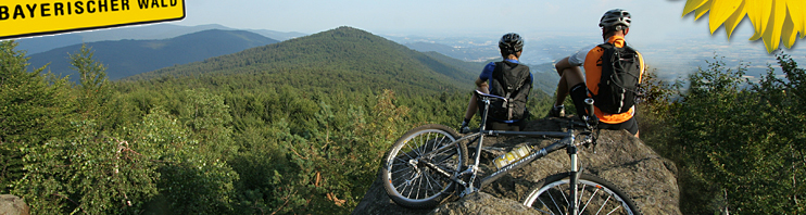 Bayerischer Wald